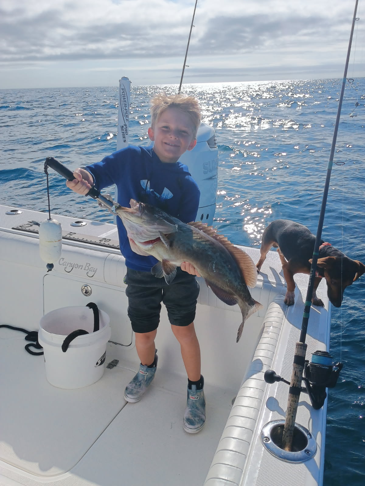 Cobia, a few miles out